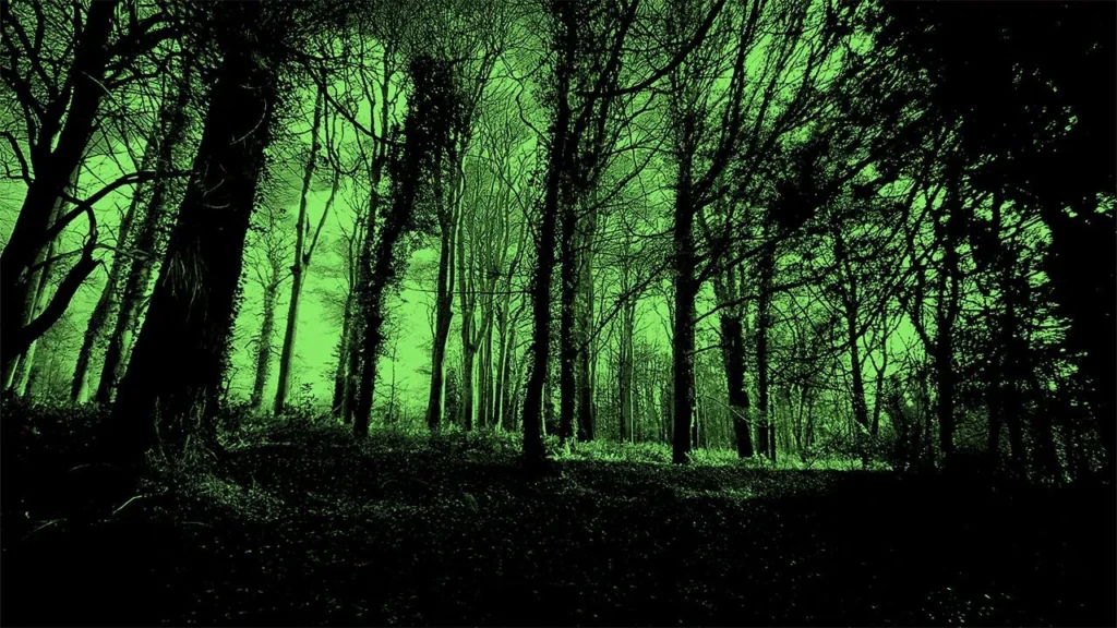 ¿Por qué los canadienses crecieron con miedo al anochecer?