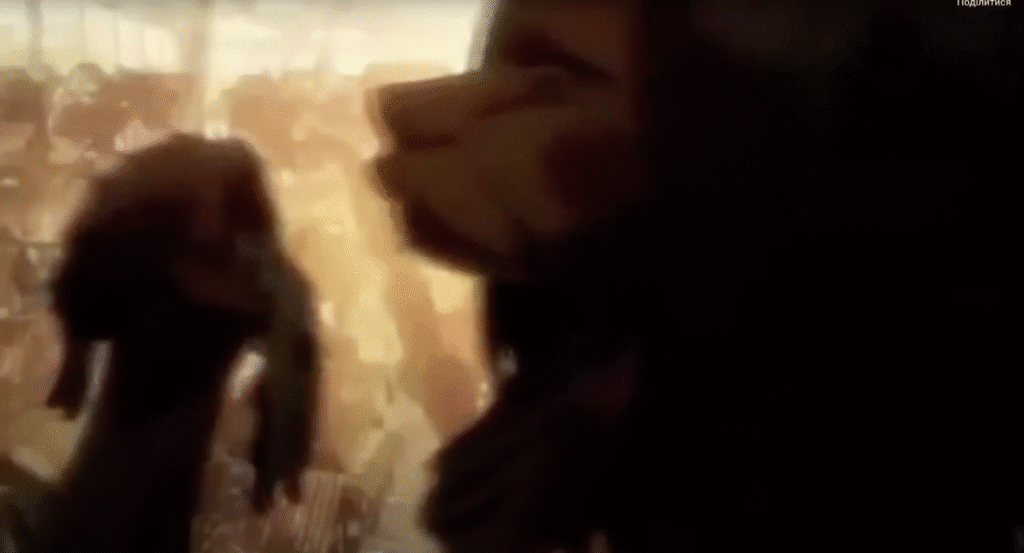 ¿Recuerdas esa escena en Attack on Titan que te dejó sin aliento? 5 svg%3E