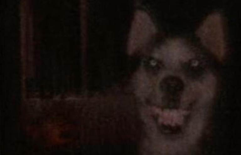 ¿Existe realmente la cinta VHS de Smile Dog?
