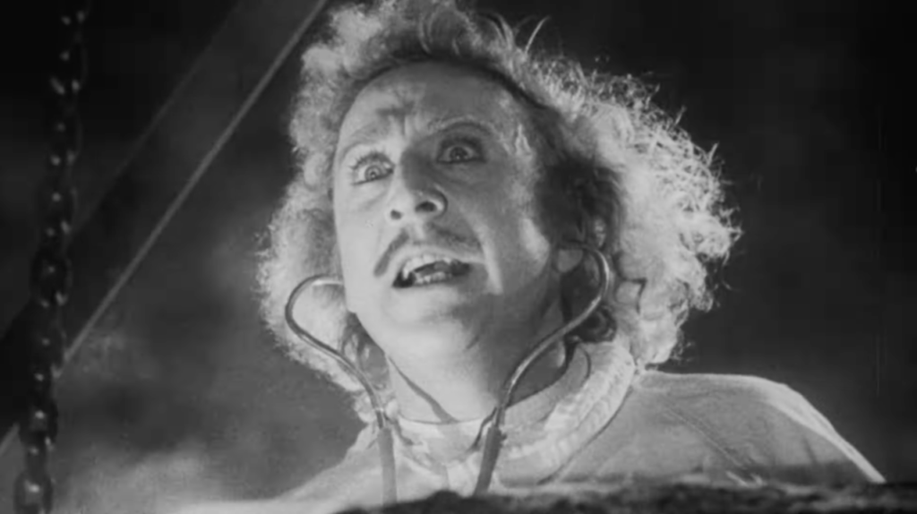 Young Frankenstein 1974
